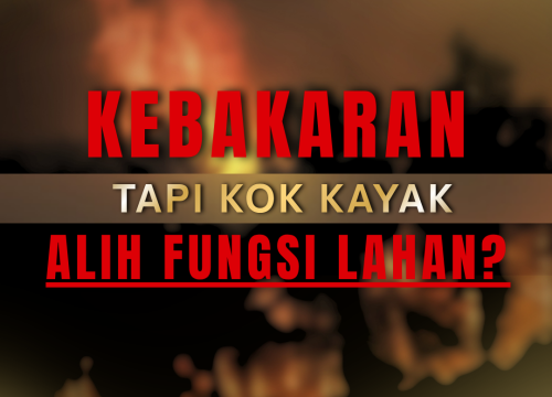 Kebakaran Tapi Kok Kayak Alih Fungsi Lahan?